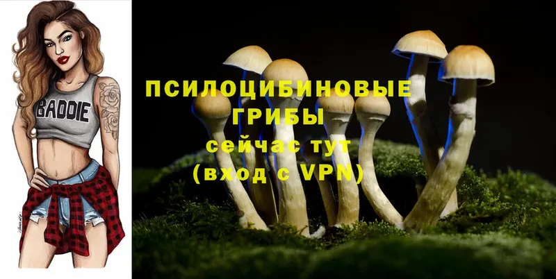 Галлюциногенные грибы Cubensis  купить наркоту  гидра маркетплейс  Ершов 